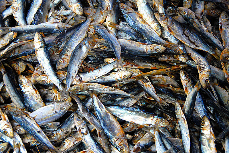 galunggong dried fish